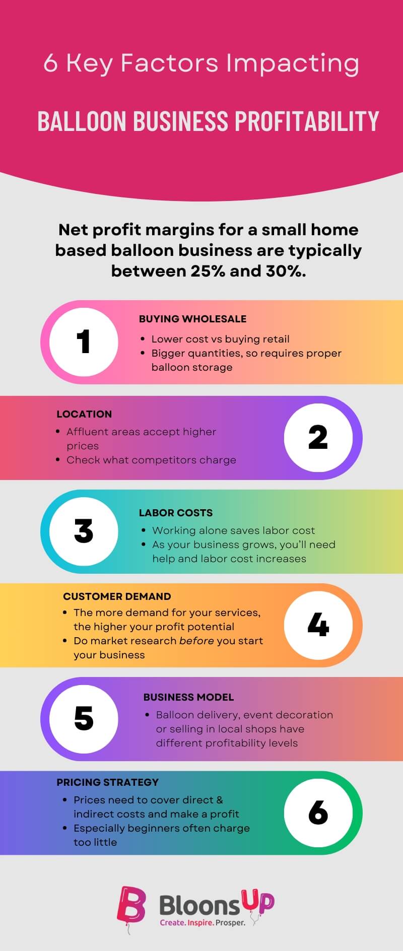 Infographic Showing Six Key Factors That Impact Balloon Business Profitability