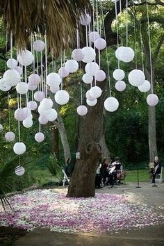 Balloons suspended upside down from a tree [Image found on Pinterest]