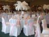 Ostrich Feather Centerpiece Manchester