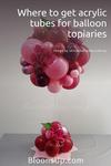 Like this tip about balloon topiaries? Share with a friend or pin for later!