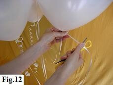 Curling the ribbons attached to the balloon neck.