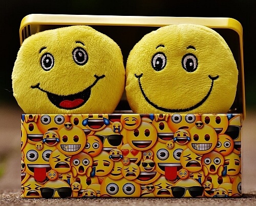 Two smiley face cuddly toys in a box.