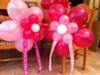 Pink Balloon Flowers