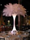 lighted feather vase